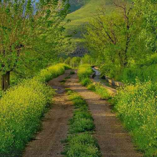 سروش کامیاب ای نازنینوم بالا بلندی دور نورآباد مهلی قشنگی